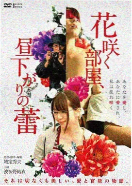 铁皮屋顶的歌 免费在线播放